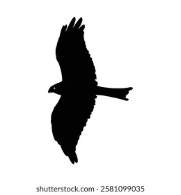 Super Powerful Eagle Silhouette of a bird of prey in flight. Symbol of Eagle vector, Eagle Icon, Eagle Drawing.
