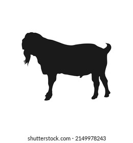 super qurban goat vector black silhouette