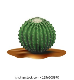 Super Realistic desert big round cactus Echinocactus. Plant of desert among textured gradient sand. Realistic 3d volume vector illustration isolated on white background.