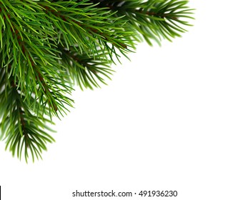 Super realistic fir branches. The background with the effect of unfocus. Vector illustration.