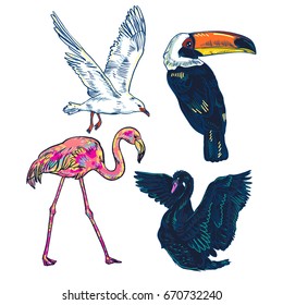 Super set of cute cartoon birds