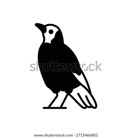 Superb Starling Bird Fill Icon: Wildlife and Africa