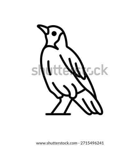 Superb Starling Bird Line Icon: Wildlife and Africa