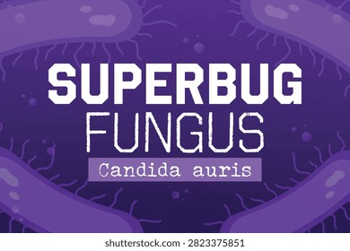 Superbug fungus. Candida auris. Multidrug-resistant pathogen.