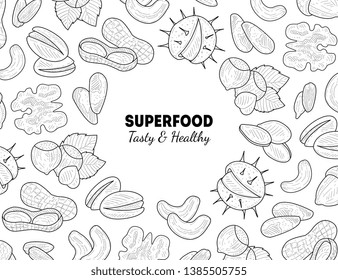 Superfood Banner Template, Nuts and Seeds, Tasty and Healthy Organic Food Hand Drawn Vector Illustration