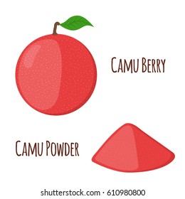 Superfood camu camu in cartoon flat style. Red camu berries, fruit and powder. Vegetarian nutrition.