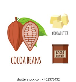 Superfood cocoa set in flat style: cocoa beans, powder, butter. Organic healthy food. Isolated objects on white background. Vector illustration