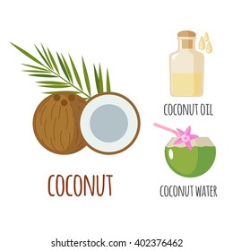 El coco superalimentario es de estilo plano: fruta de coco, agua, leche. Alimentos orgánicos saludables. Objetos aislados sobre fondo blanco. Ilustración del vector