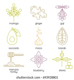 Superfood color line icons set. Moringa, ginger, goji, avocado, maca, baobab, manuka honey, blueberry, stevia. Vector illustration.
