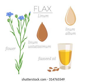 Superfood flax vector set.