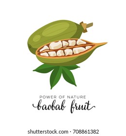 Superfood fruit. Baobab fruit. Vector illustration cartoon flat icon isolated on white.