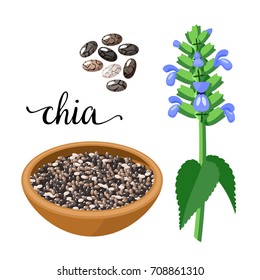 Superfood Fruit. Chia Seeds And Branch With Leaves And Flowers. Vector Illustration Cartoon Flat Icon Isolated On White.