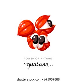 Fruta de supercomida. La Guarana abre la fruta. Icono plano de ilustración vectorial aislado en blanco.