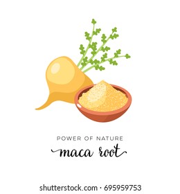 Superfood fruit. Maca root. Vector illustration cartoon flat icon isolated on white.