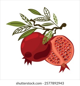 Superfood fruit. Set of pomegranate fruits. Fruits. Juice. Vector illustration cartoon