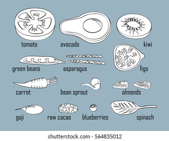 Superfood fruits and vegetables isolated outlines contour black white vector illustration set. Figs spinach chard goji raw cacao bean sprout vegetarian vegan food