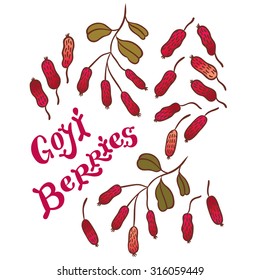 Superfood goji berries - vector illustration of fresh Goji Berries (Wolfberries) with leaves on white background