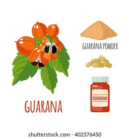 Superfood guarana set in flat style: guarana berries, powder, pills. Organic healthy food. Isolated objects on white background. Vector illustration