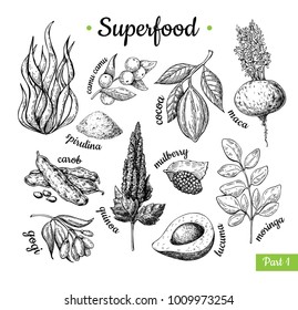 Superfood hand drawn vector illustration. Botanical isolated sketch drawing. Spirulina, cocoa, quinoa carob moringa goji, maca. Organic healthy food. Great for banner, poster, label