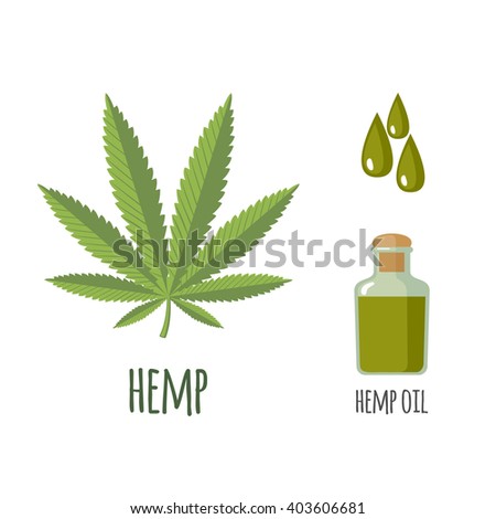 Superfood hemp set in flat style: hemp leaves, oil. Organic healthy food. Isolated objects on white background. Vector illustration