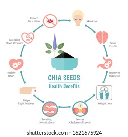 Superfood infographics. Health benefits of chia seeds. Healthy and organic food.