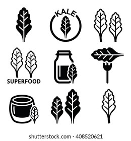 
Superfood - kale leaves vector icons set 
 