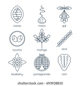 Superfood line icons set. Cacao, maca root, goji, lucuma, moringa, acai, blueberry, pomegranate, noni. Vector illustration.