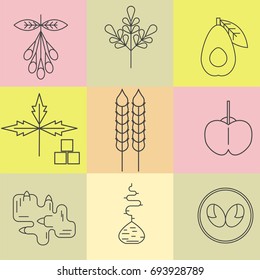 Superfood line icons set. Color background. Goji, moringa, avocado, stevia, wheat, acerola, ginger, maca, lucuma. Vector illustration.