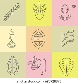 Superfood line icons set. Color background. Acai, spirulina, quinoa, maca root, cacao, kelp, baobab, carob, noni. Vector illustration.