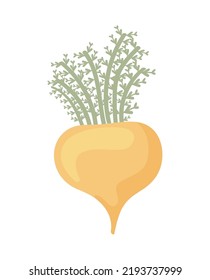 superfood maca icon isolated flat