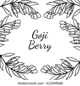Superfood organic asian berry. Illustration in sketch style, hand drawing.Goji berry, fruit, leaf, plant branch. Square banner, card, template.