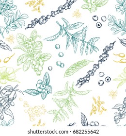 Superfood. Seamless botanical pattern, Realistic color vector sketch illustration.
