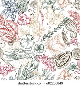 Superfood. Seamless botanical pattern, Realistic color vector sketch illustration.