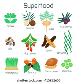 Superfood set. Collection of super food. Goji and maca, acai berries and guarana, chia seeds and cocoa beans. Stevia and coconut, carob and spirulina. Healthy vegan products. Flat vector illustration