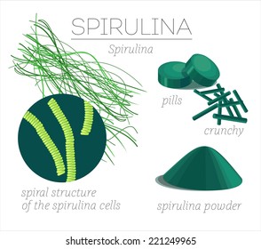 Superfood spirulina. Blue-green algae in the form of tablets, broken (Crunchy) and powder. Vector image