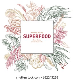 Superfood square banner, color sketch vector illustration, vegan healthy food design. Kelp, cacao, ginger, moringa, blueberry, goji, stevia, seeds, grain.