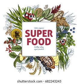 Superfood square banner, full color realistic sketch vector illustration, vegan healthy food design. Kelp, cacao, ginger, moringa, blueberry, goji, stevia, seeds, grain.