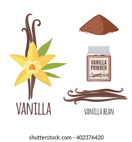 Superfood vanilla set in flat style: vanilla beans, flower, powder. Organic healthy food. Isolated objects on white background. Vector illustration