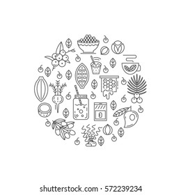 Conceito de vetor de superalimentos.
 Açaí, cacau, goji, guaraná, espirulina, coco, quinoa, camu camu, maca, mel, baunilha, algas. Superalimentos orgânicos para saúde e dieta. Suplementos de desintoxicação e perda de peso.