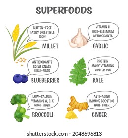 Superfoods collection. Millet, blueberry, broccoli, garlic, kale, ginger. Editable vector illustration in cartoon style. Colorful set. Medical infographic poster. Nutrition advice for healthier life