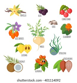 Superalimentos de estilo plano. Estilo de vida saludable. Frutas y verduras para la salud. Ilustración del vector