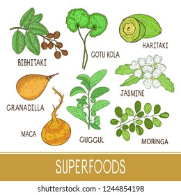 Superfoods. Haritaki, gotukola, jasmine, moringa, guggul, maca, granadilla, bibhitaki. Set.
