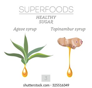 SUPERFOODS. Healthy sugar. Set 3. Agave syrup and topinambur syrup. Vector image