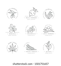 Superfoods line vector icons. Berries, powder, vegetables or fruits and seeds. Organic superfoods for health and diet. Detox and weightloss supplements