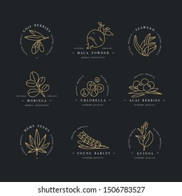 Superfoods line vector icons. Berries, powder, vegetables or fruits and seeds. Organic superfoods for health and diet. Detox and weightloss supplements