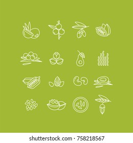 Superfoods line vector icons. Berries,nuts, vegetables fruits and seeds. Organic superfoods for health and diet. Detox and weightloss supplements.