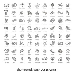 Superfoods line vector icons. Vector Organic superfoods