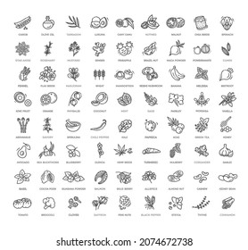 Superfoods and line vector icons. Vector Organic superfoods and Antioxidant food.