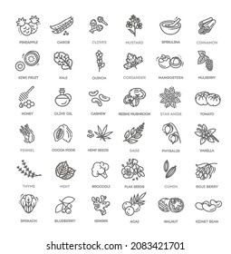 Superfoods line vector icons. Vector Organic superfoods