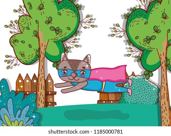 Superhero bear cartoon